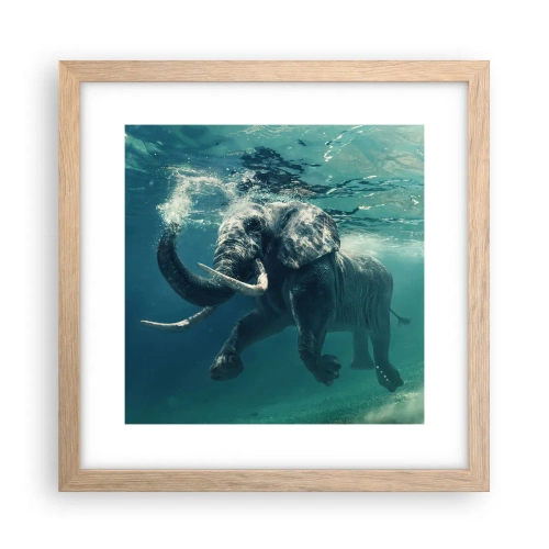 Pôster com moldura de carvalho claro - Todo mundo gosta de nadar - 30x30 cm