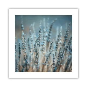 Pôster - Prado perfumado - 40x40 cm