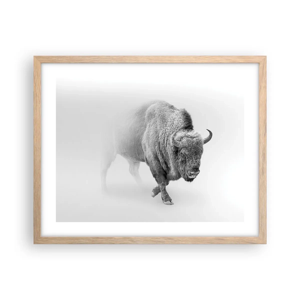 Pôster com moldura de carvalho claro - Rei da Pradaria - 50x40 cm