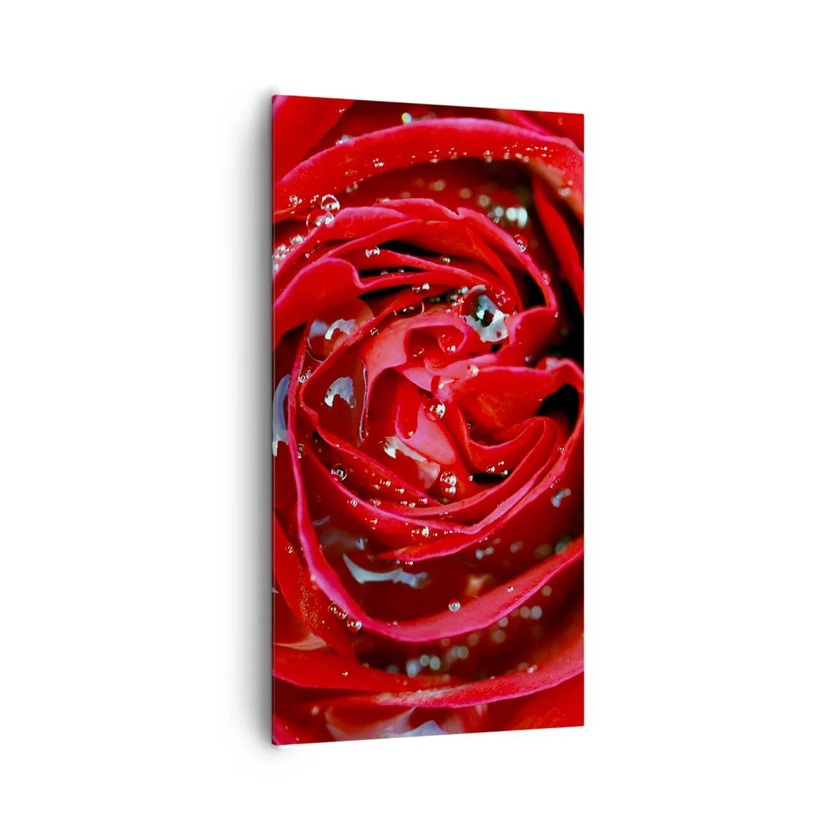 Quadro em tela - Em gotas de orvalho - 65x120 cm