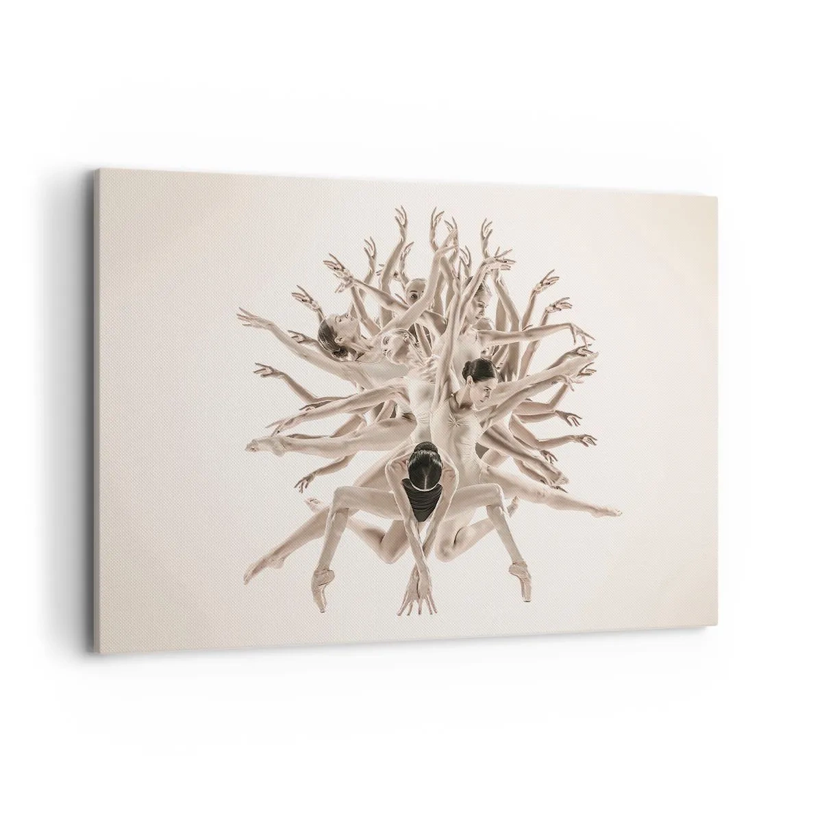 Quadro em tela - Florescendo na dança - 120x80 cm