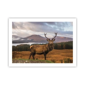 Pôster - A majestade da natureza - 70x50 cm