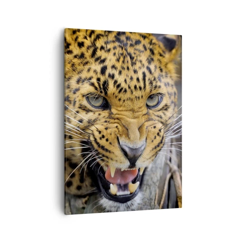 Quadro em tela - Não se aproxime, estou a avisar! - 50x70 cm