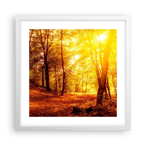 Pôster em moldura branca - Rumo à clareira dourada - 40x40 cm
