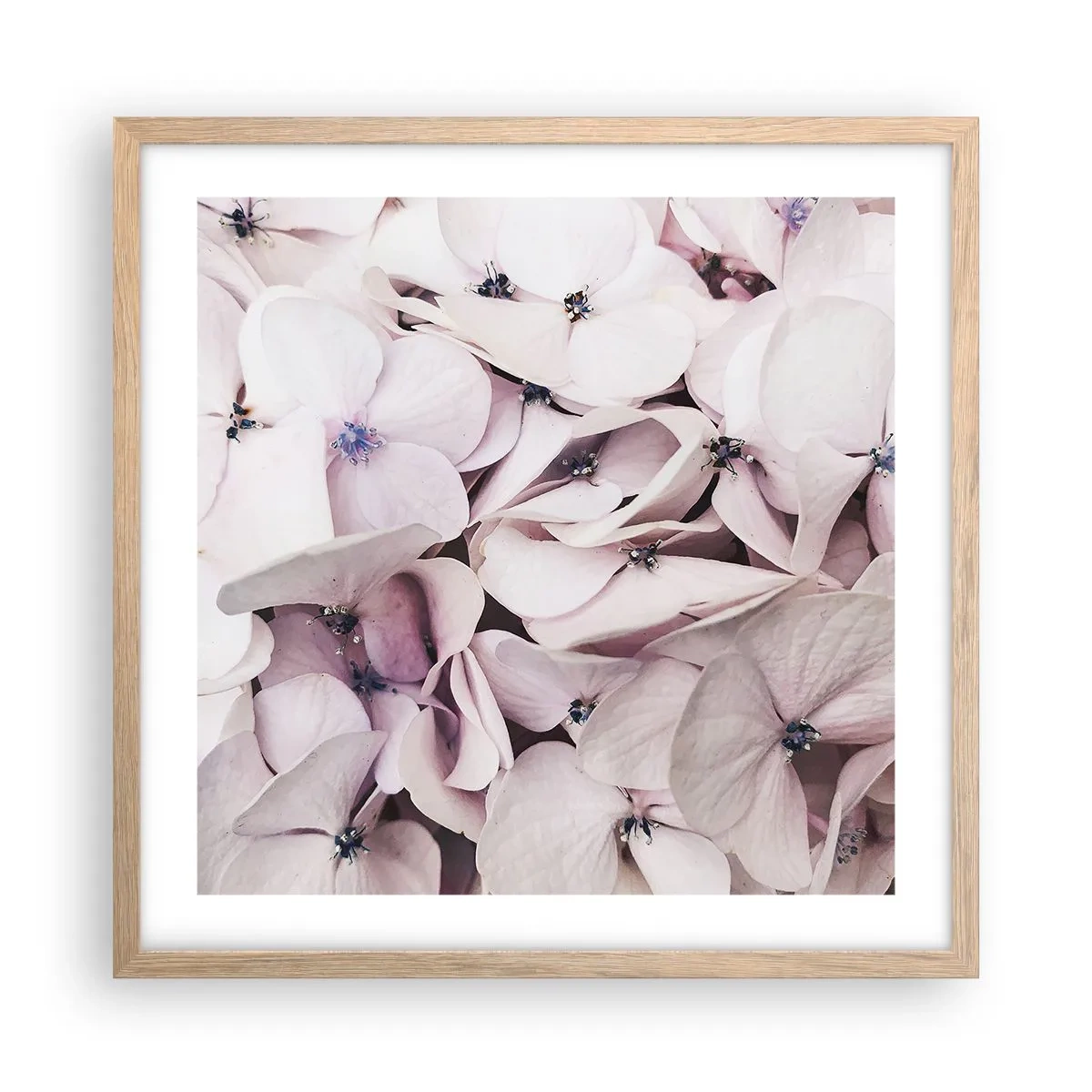 Pôster com moldura de carvalho claro - Em uma inundação de flores - 50x50 cm
