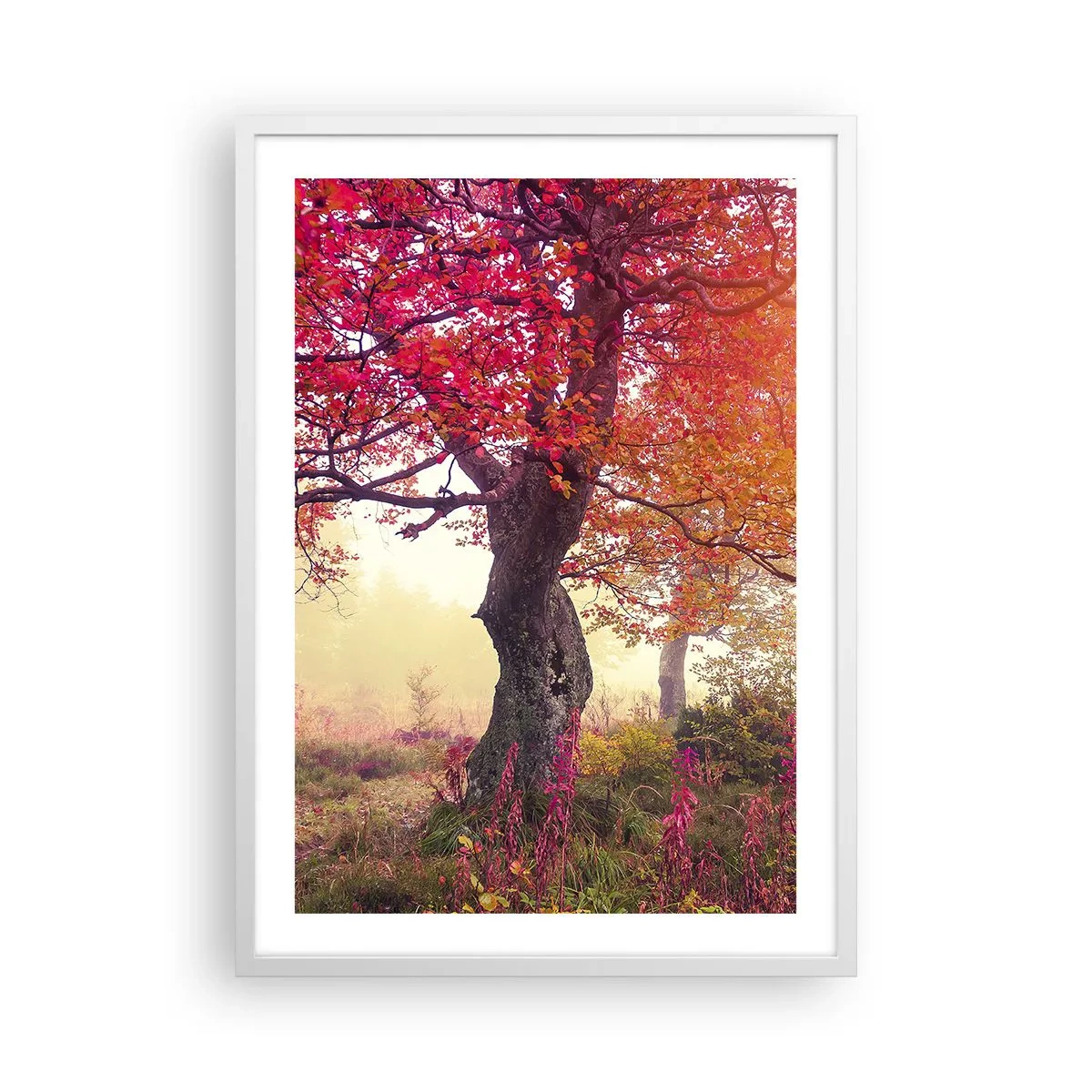 Pôster em moldura branca - Um frenesi de florescimento - 50x70 cm