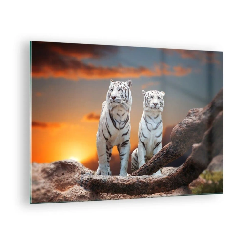 Quadro em vidro - Tigres brancos contra o pôr do sol - 70x50cm - Tal como em Nárnia - Decoração de parede moderna para a sala de estar e quarto ARTTOR