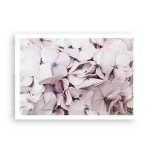Pôster - Em uma inundação de flores - 100x70 cm