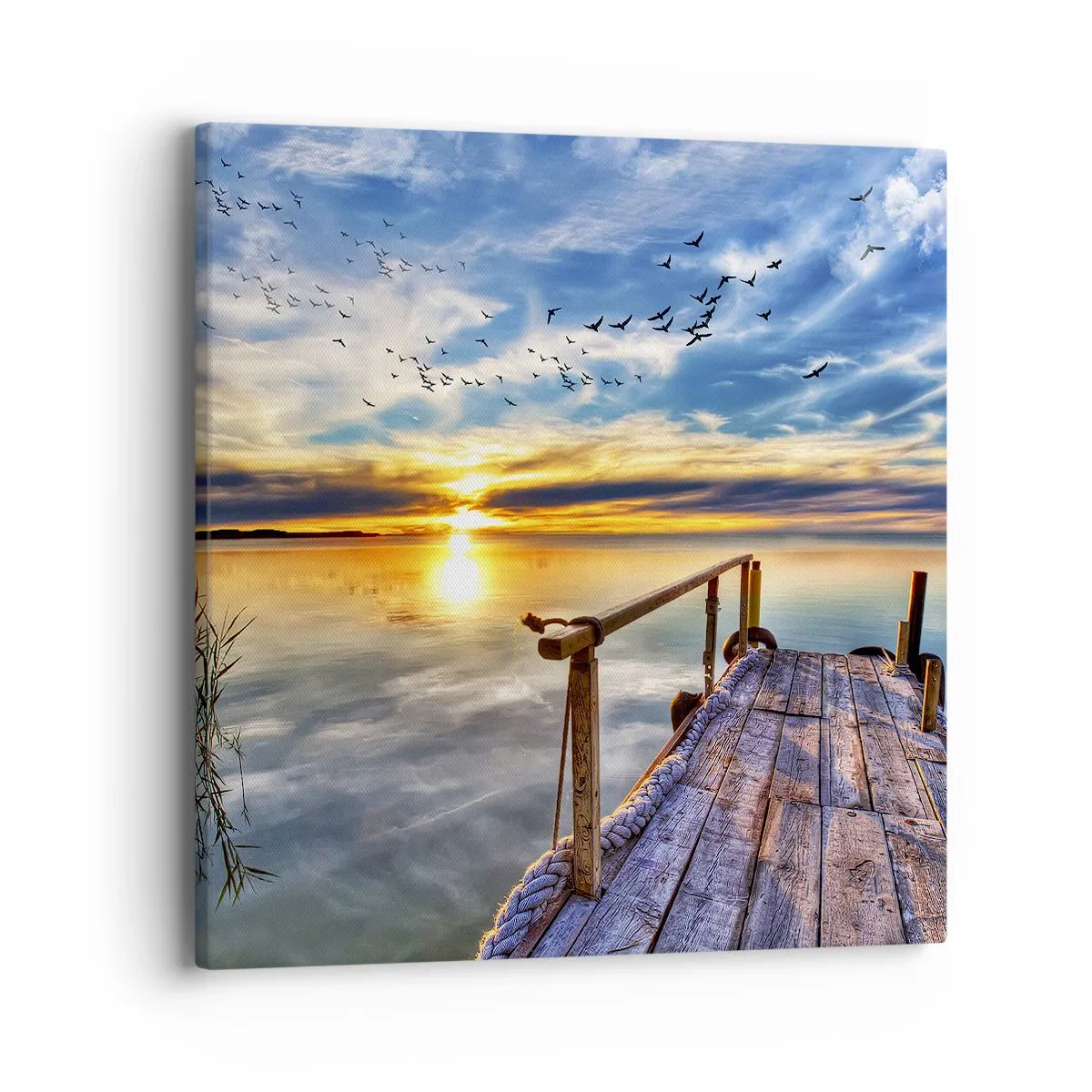 Quadro em tela - O vento descansa - 40x40 cm