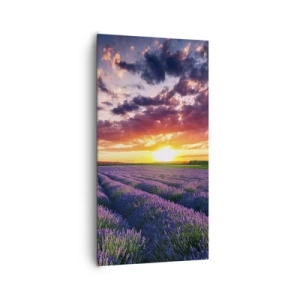 Quadro em tela - O mundo da lavanda - 65x120 cm