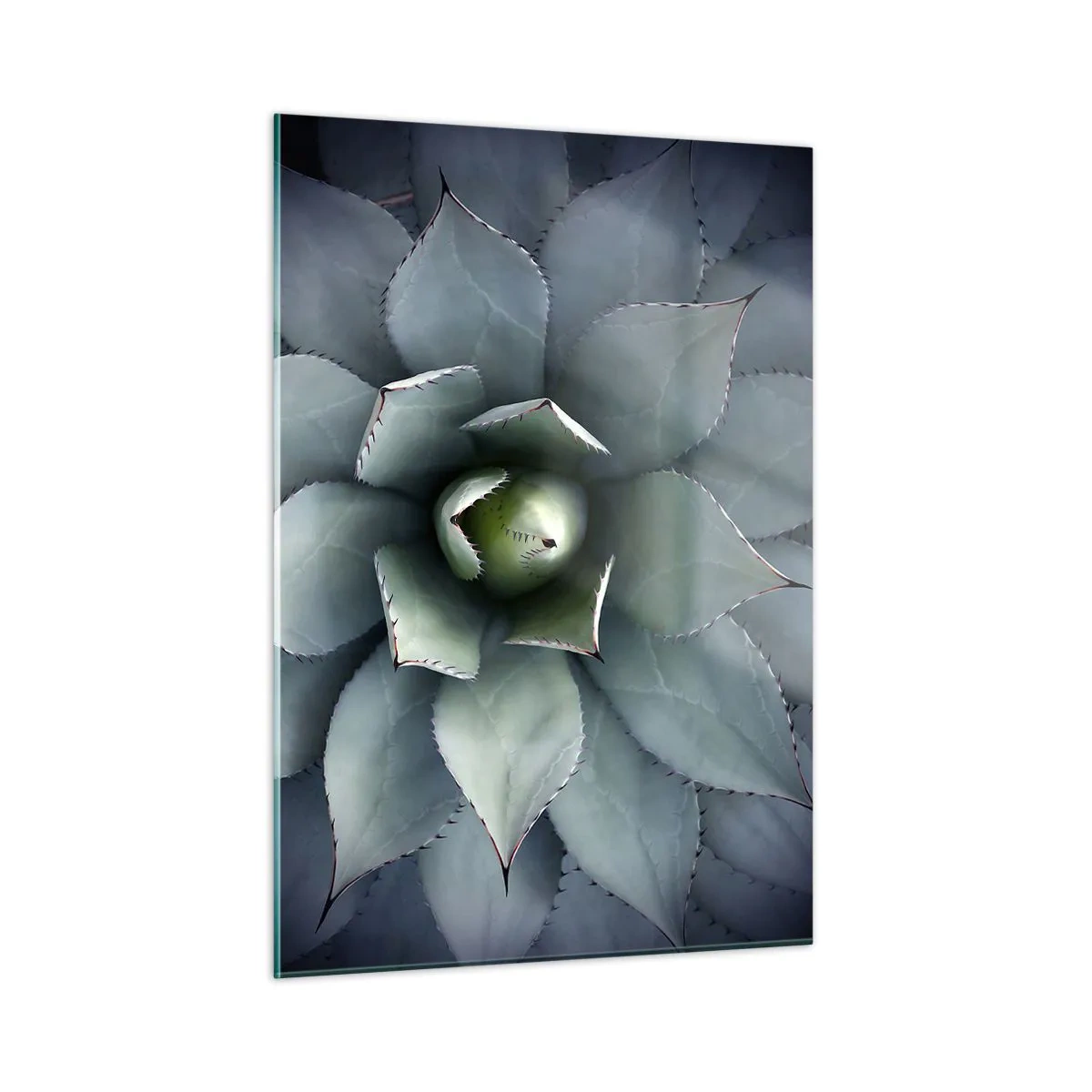 Quadro em vidro - Atrai e adverte - 50x70 cm