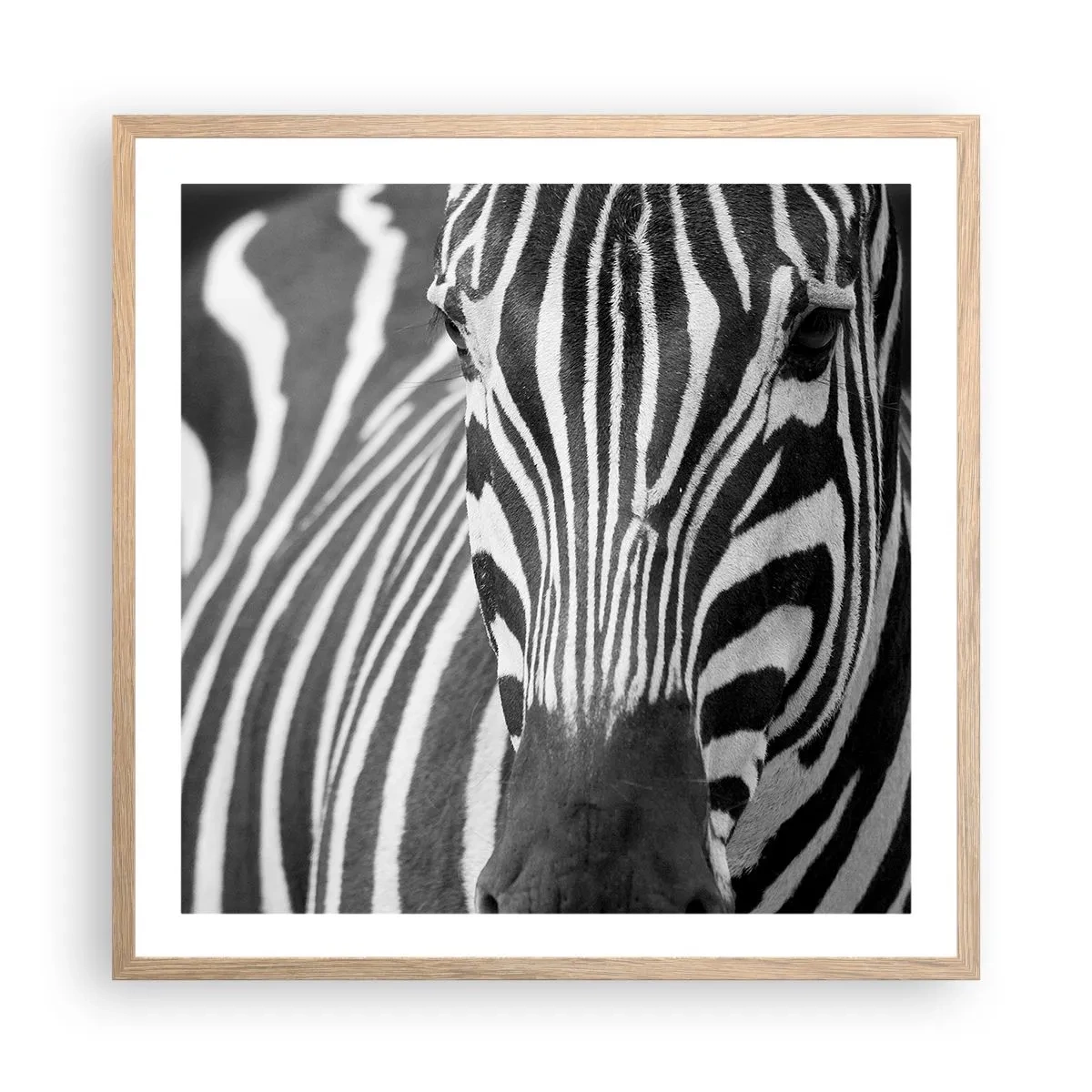 Pôster com moldura de carvalho claro - O mundo é preto e branco - 60x60 cm