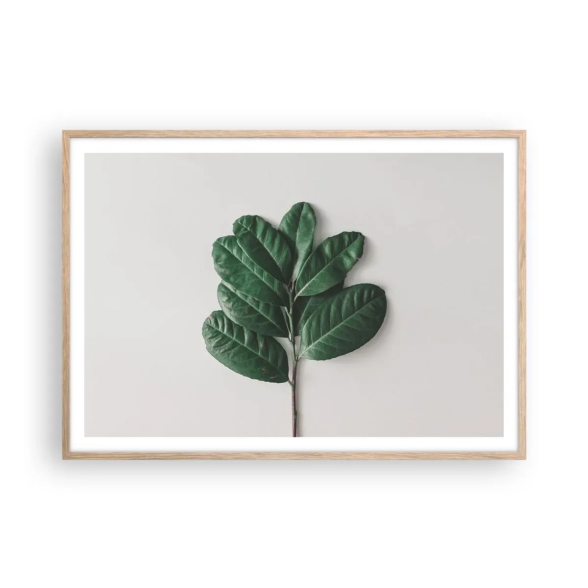 Pôster com moldura de carvalho claro - Desenho da própria natureza - 100x70 cm