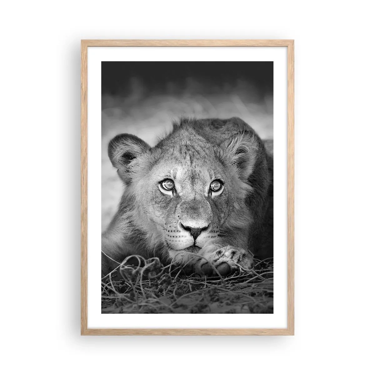 Pôster com moldura de carvalho claro - Cachorro real - 50x70 cm