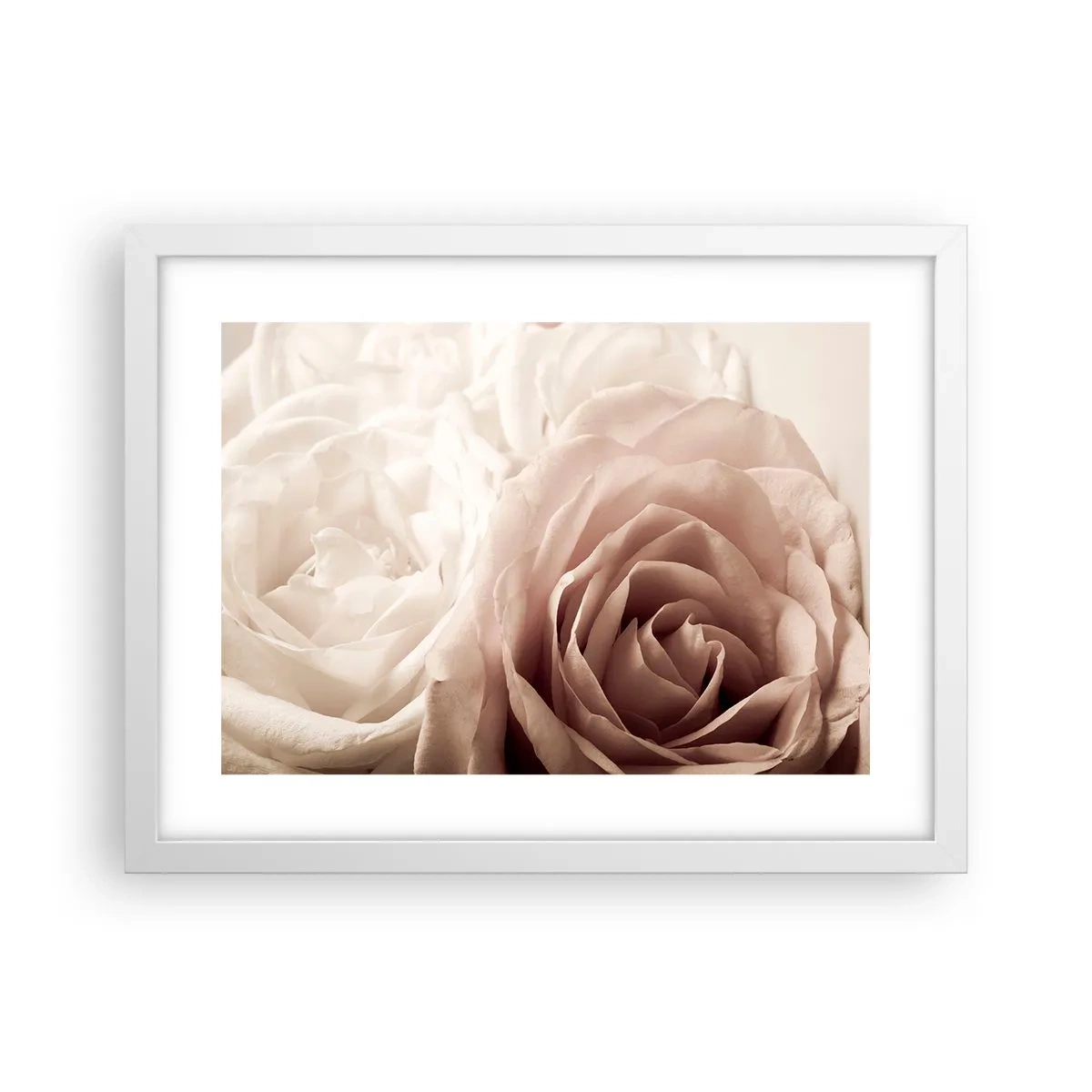 Pôster em moldura branca - No coração de uma rosa - 40x30 cm