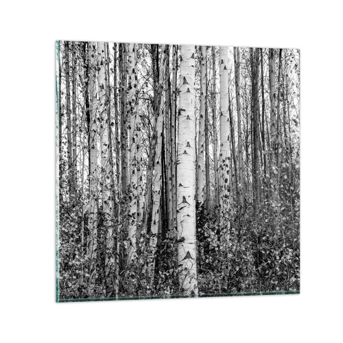 Quadro em vidro - Colunata de bétula - 30x30 cm