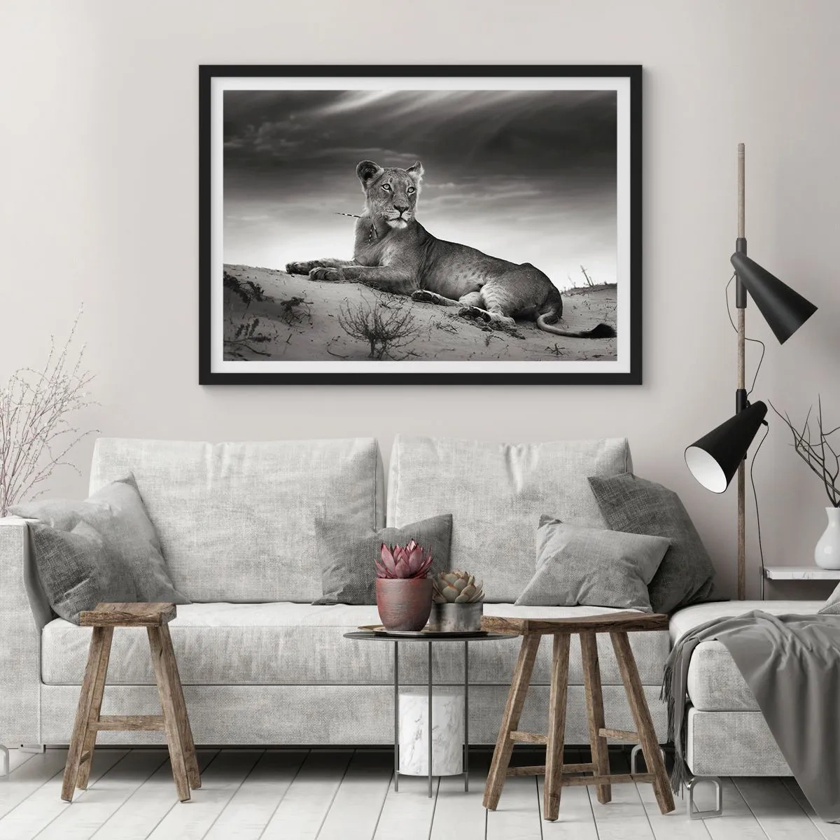 Pôster com moldura preta - Descanso da Rainha do Deserto - 70x50 cm