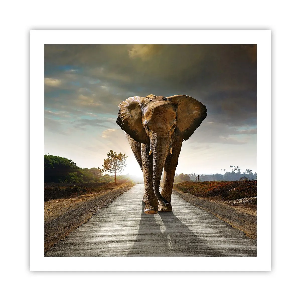 Pôster - Não faz parte da composição da porcela - 60x60 cm