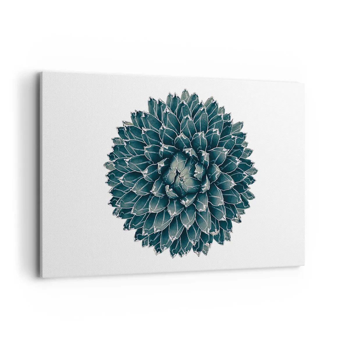 Quadro em tela - Estrela do Deserto - 120x80 cm