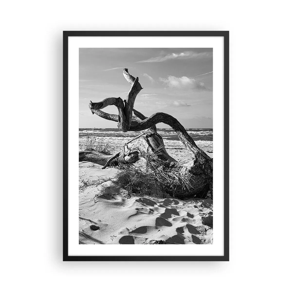 Pôster com moldura preta - Fotografia em preto e branco de uma árvore seca na praia - 50x70cm - Escultura do mar - Decoração de parede moderna para a sala de estar e quarto ARTTOR