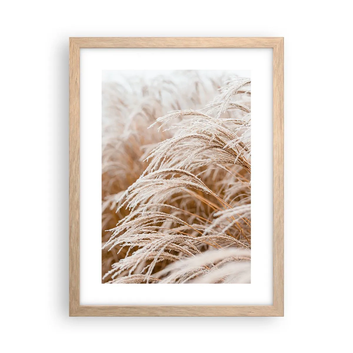 Pôster com moldura de carvalho claro - Curvar-se ao sol de outono - 30x40 cm