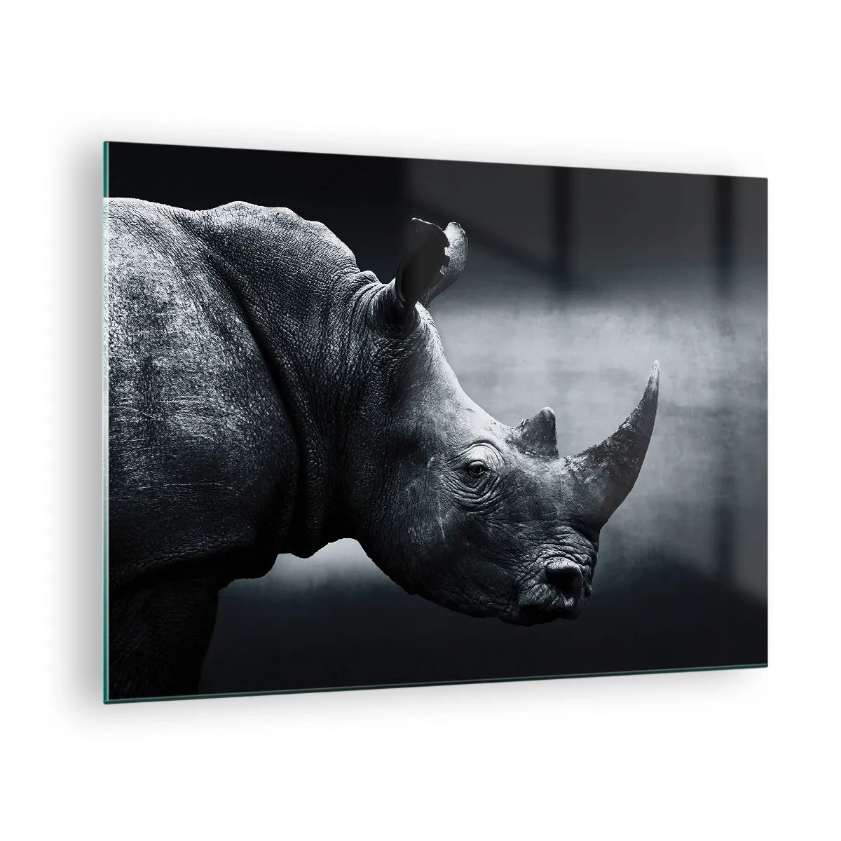 Quadro em vidro - Foto em preto e branco de um rinoceronte - 70x50cm - Perfil direito - Decoração de parede moderna para a sala de estar e quarto ARTTOR