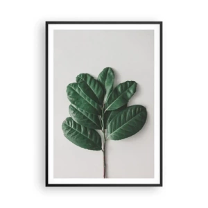 Pôster com moldura preta - Desenho da própria natureza - 70x100 cm