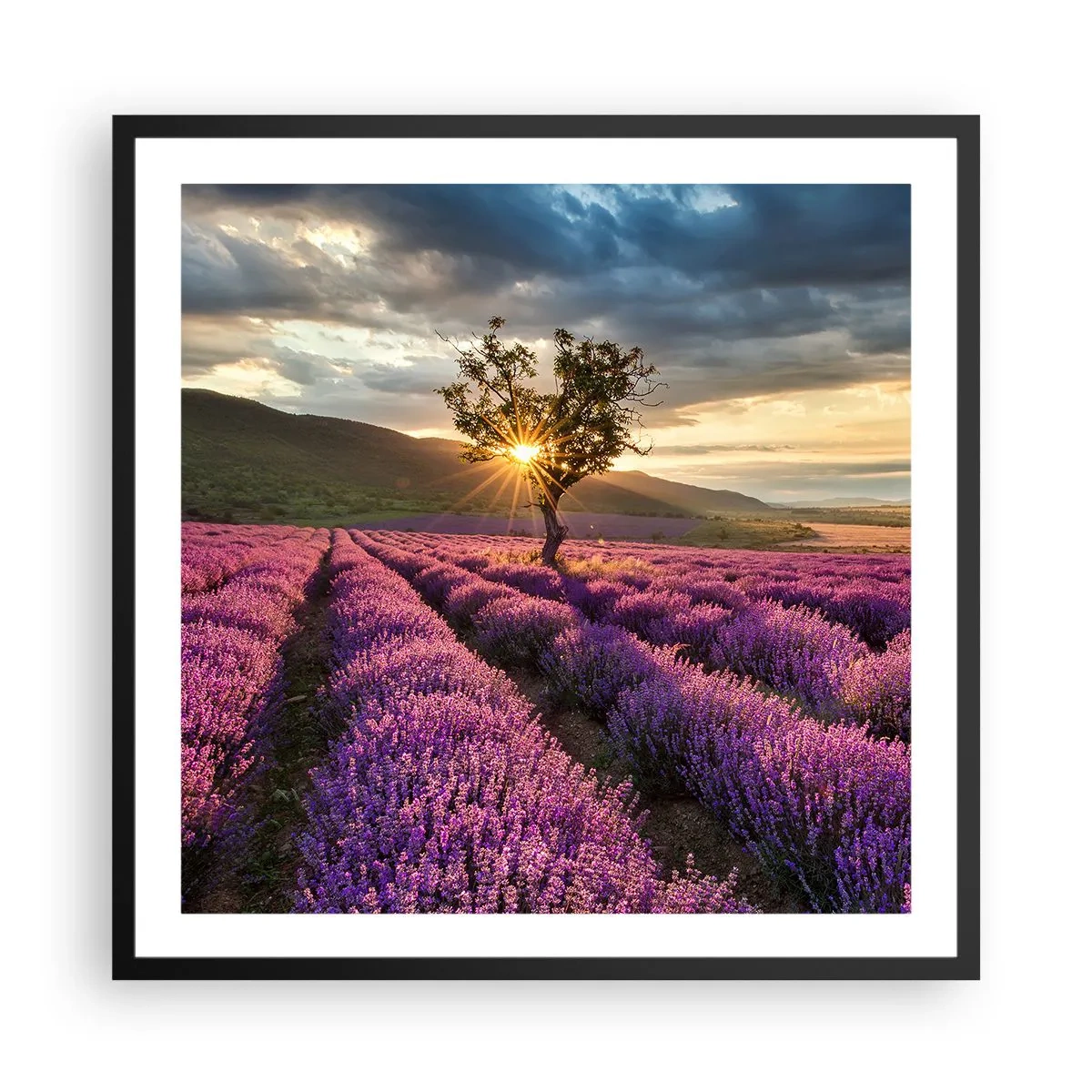 Pôster com moldura preta - Aroma lilás - 60x60 cm
