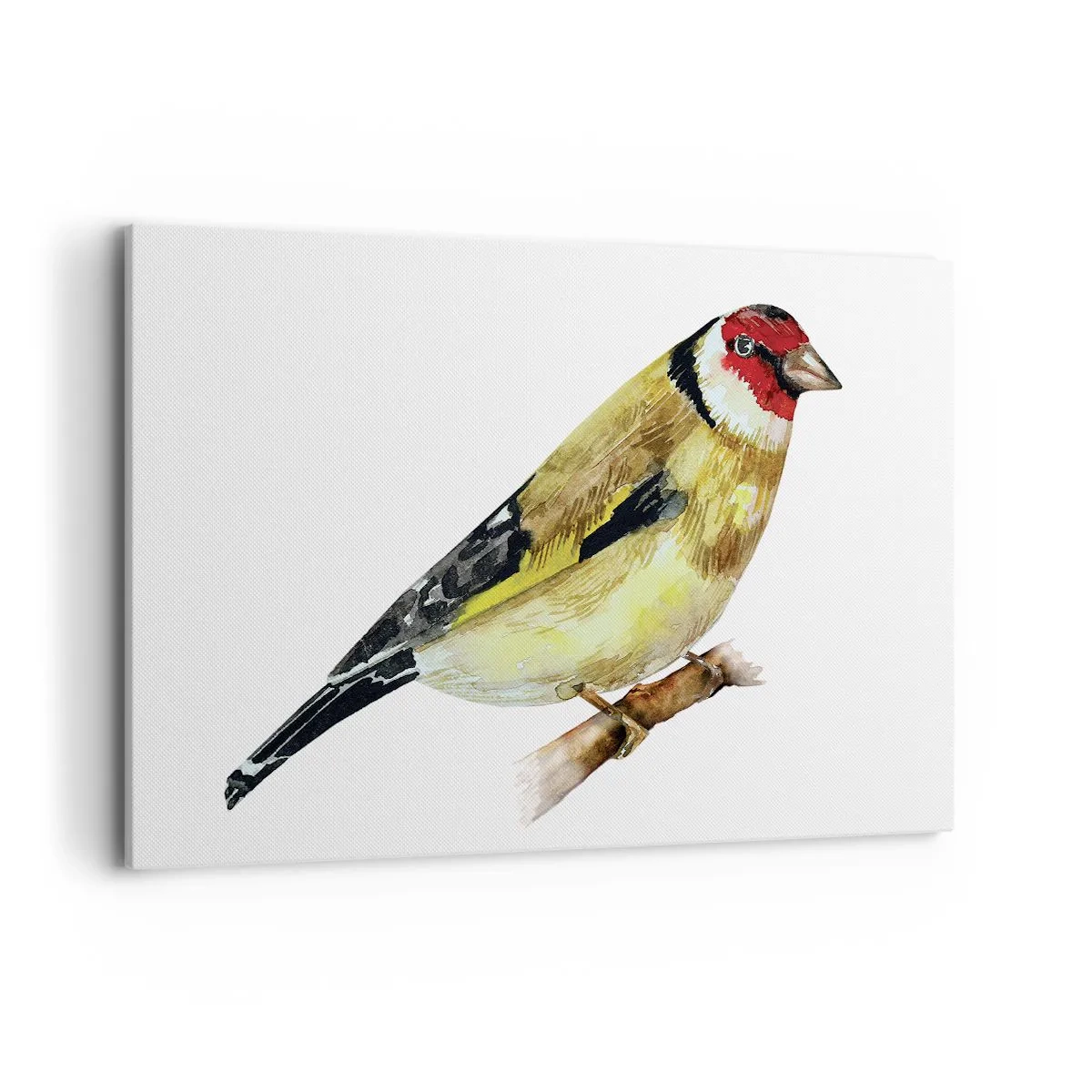 Quadro em tela - Retrato de um pássaro - 120x80 cm