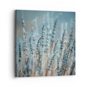 Quadro em tela - Prado perfumado - 30x30 cm