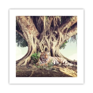 Pôster - Vista do livro de Gênesis - 40x40 cm