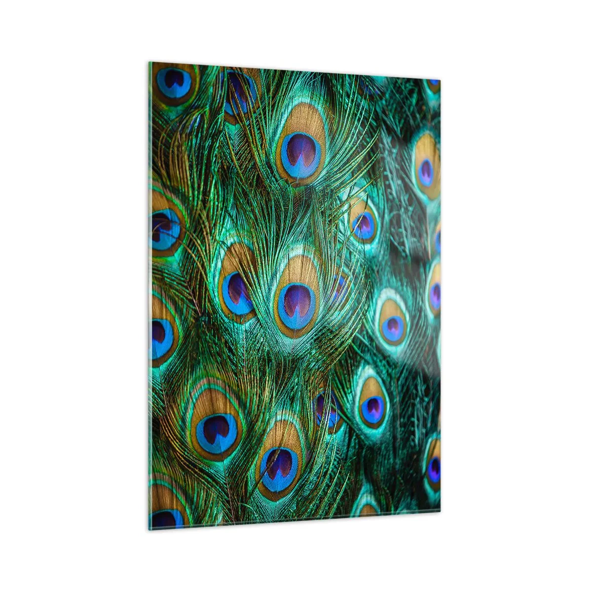 Quadro em vidro - Um olhar de pavão - 50x70 cm