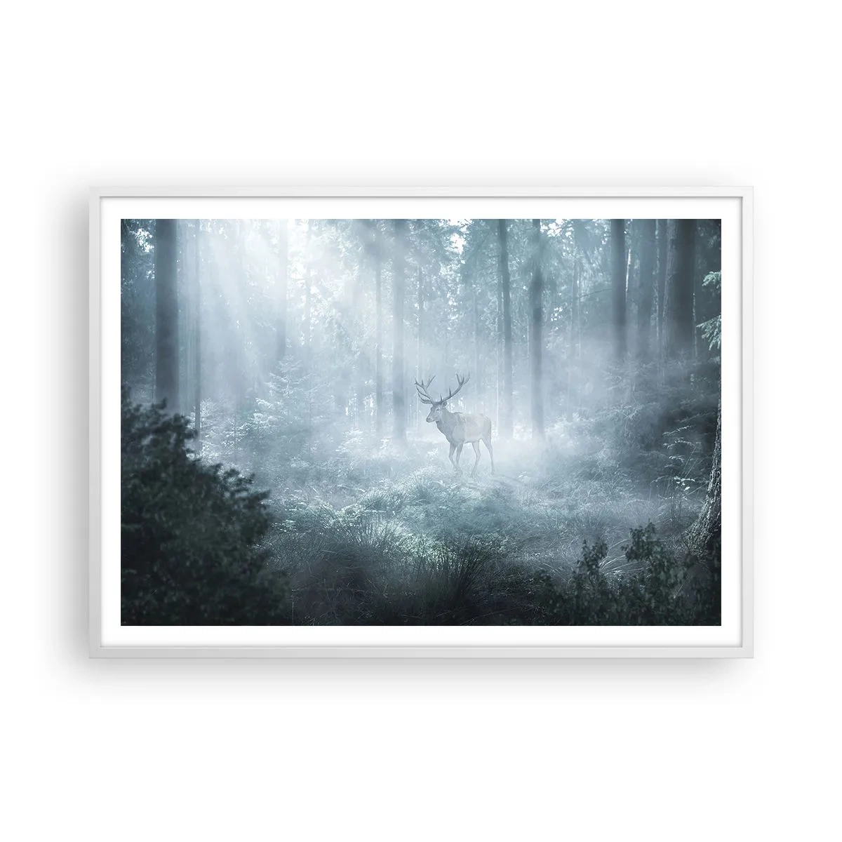 Pôster em moldura branca - Passeio matinal à volta da propriedade - 100x70 cm