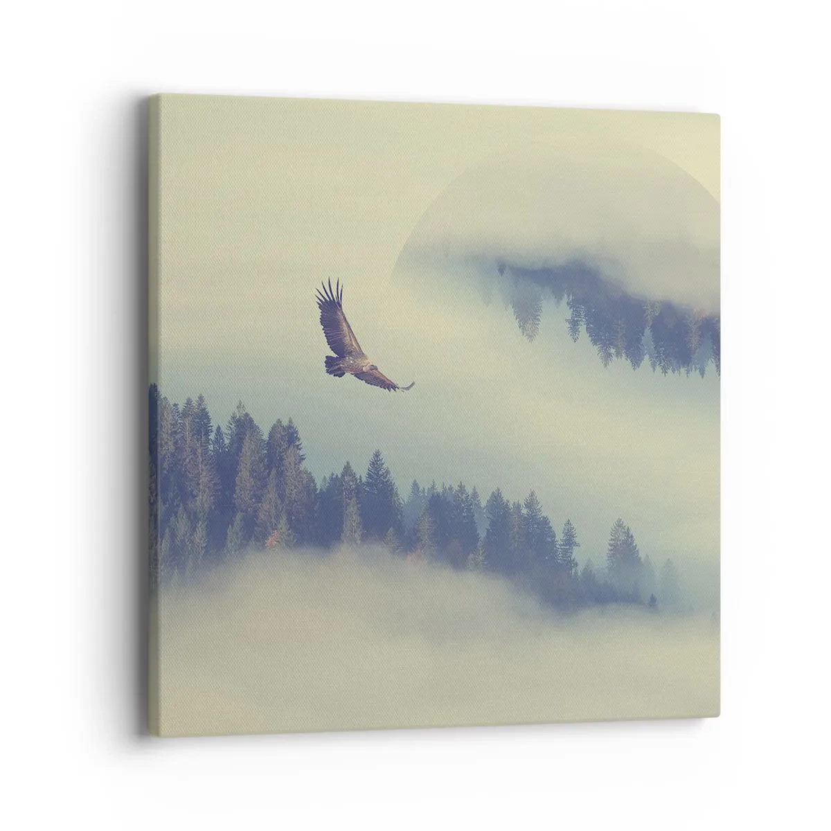 Quadro em tela - Eu vi a sombra de uma águia - 40x40 cm