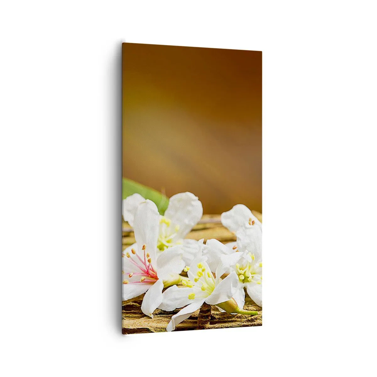 Quadro em tela - Uma promessa inocente - 65x120 cm