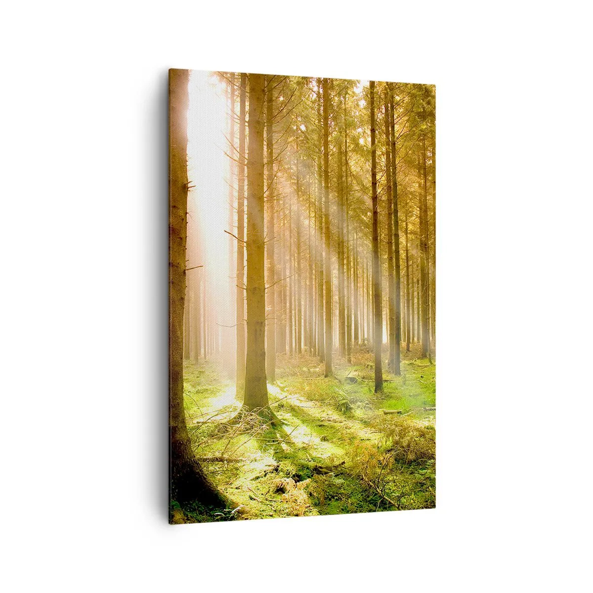 Quadro em tela - Os elfos estão prestes a aparecer - 80x120 cm