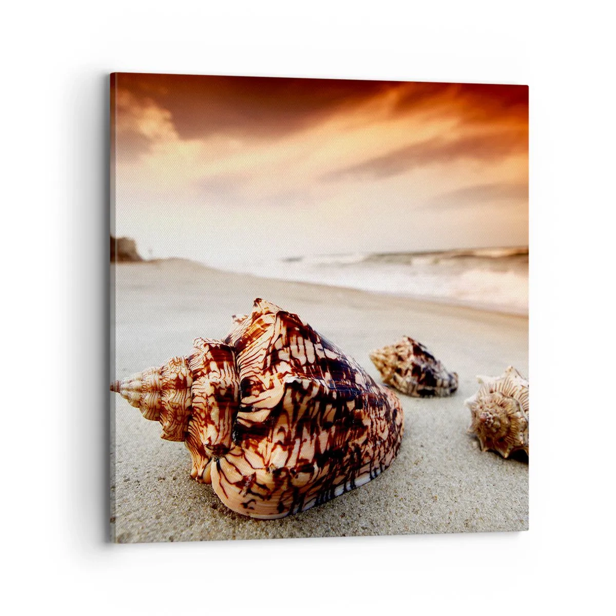 Quadro em tela - Expulso pelas ondas - 70x70 cm