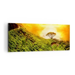 Quadro em tela - Um caminho sinuoso, uma encosta verde - 100x40 cm