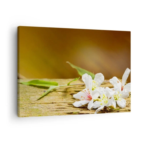 Quadro em tela - Flores brancas sobre fundo de madeira com luz natural - 70x50cm - Uma promessa inocente - Decoração de parede moderna para a sala de estar e quarto ARTTOR