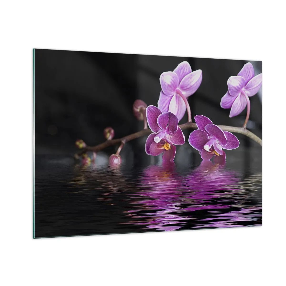 Quadro em vidro - Reflexo lilás da beleza - 100x70 cm