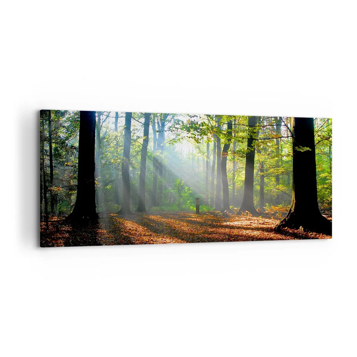 Quadro em tela - Luzes e sombras - 120x50 cm
