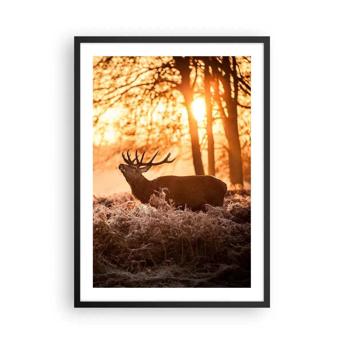 Pôster com moldura preta - Veados sob os raios do sol nascente contra o fundo da floresta - 50x70cm - O sonho do caçador - Decoração de parede moderna para a sala de estar e quarto ARTTOR