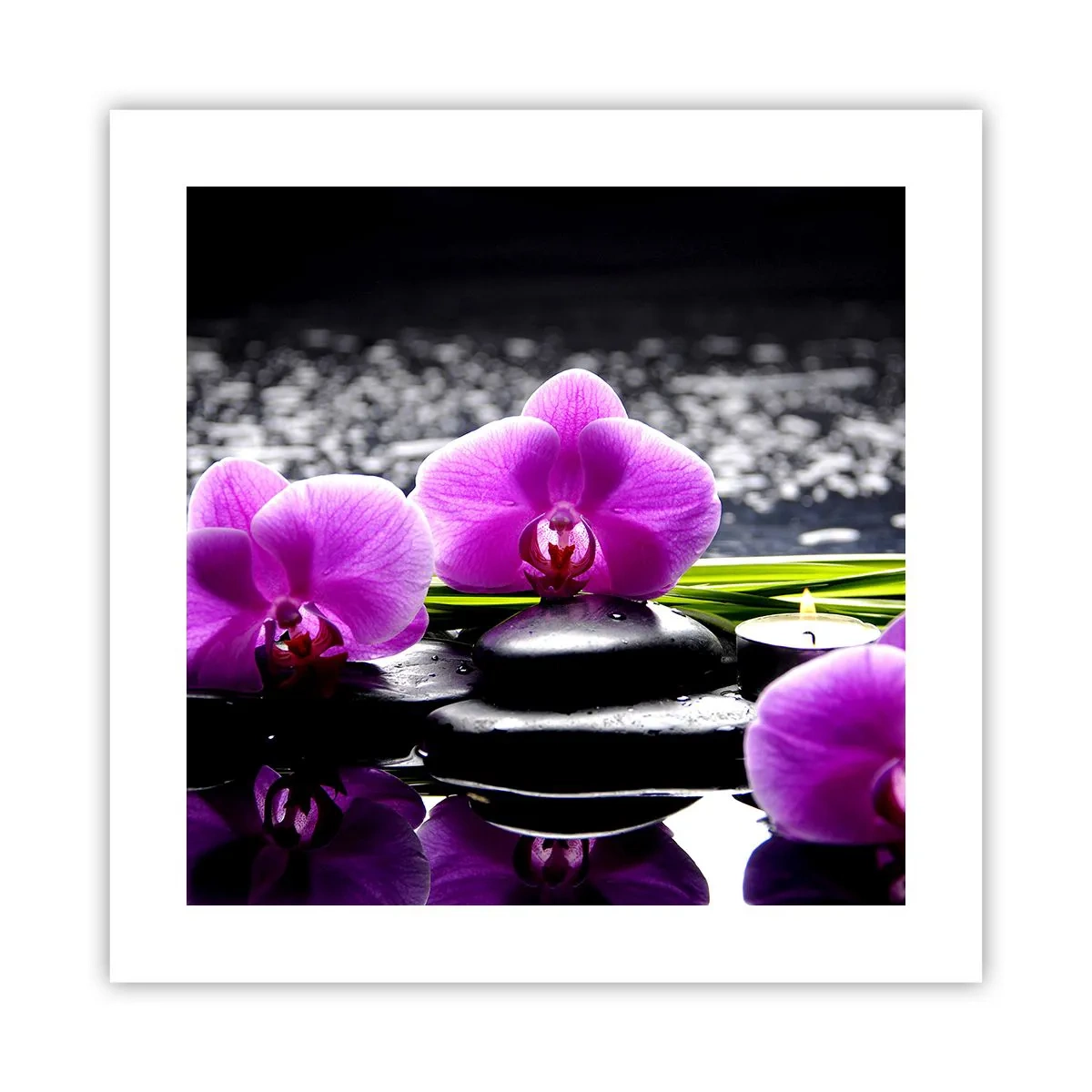 Pôster - Afogar-se na paz e sossego - 40x40 cm