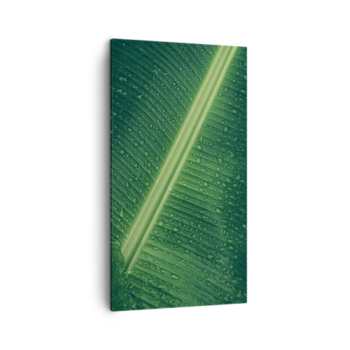 Quadro em tela - A estrutura da vegetação - 45x80 cm