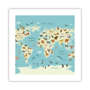 Pôster - Bons vizinhos - 40x40 cm