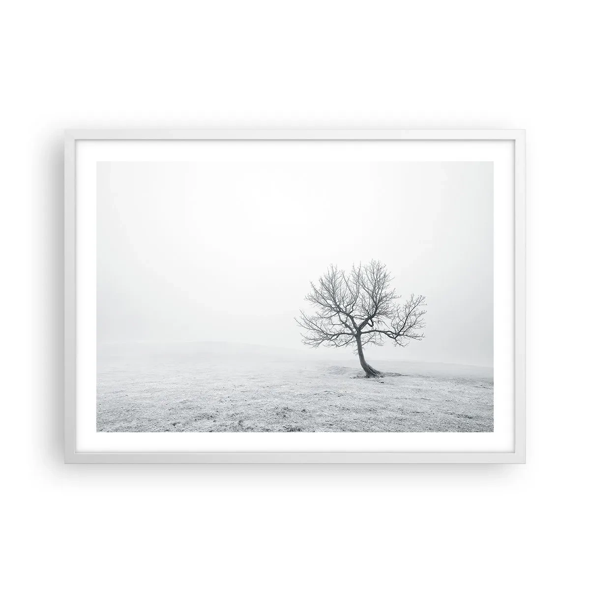 Pôster em moldura branca - Contra o nada - 70x50 cm