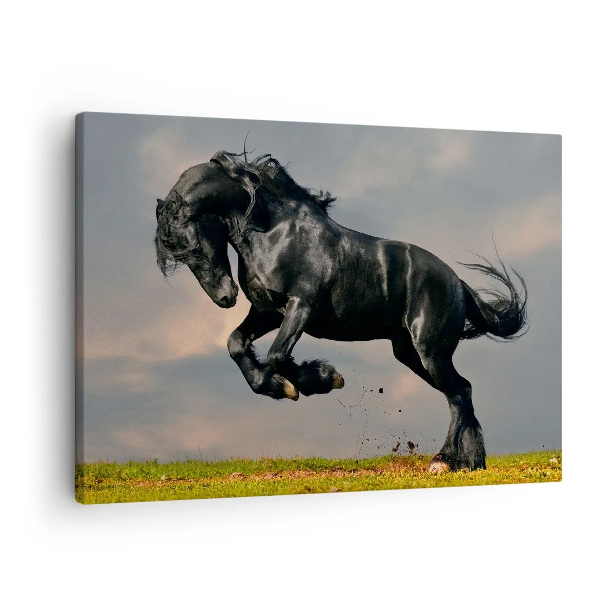 Quadro em tela - Um azarão em um salto dinâmico contra o céu - 70x50cm - Bonito e lento - Decoração de parede moderna para a sala de estar e quarto ARTTOR