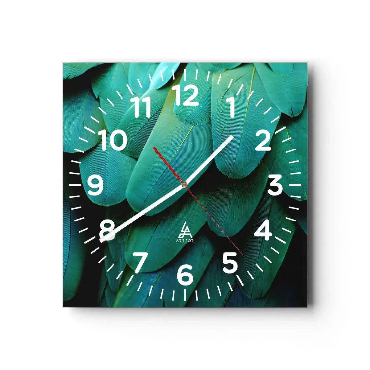 Relógio de parede - Relógio em vidro - Precisão de papagaio - 30x30 cm