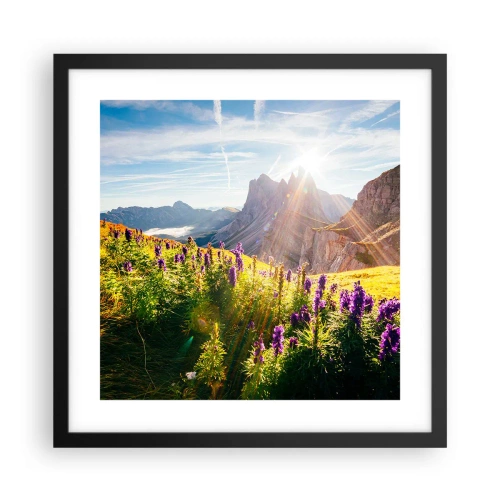 Pôster com moldura preta - A vida secreta das ervas - 40x40 cm