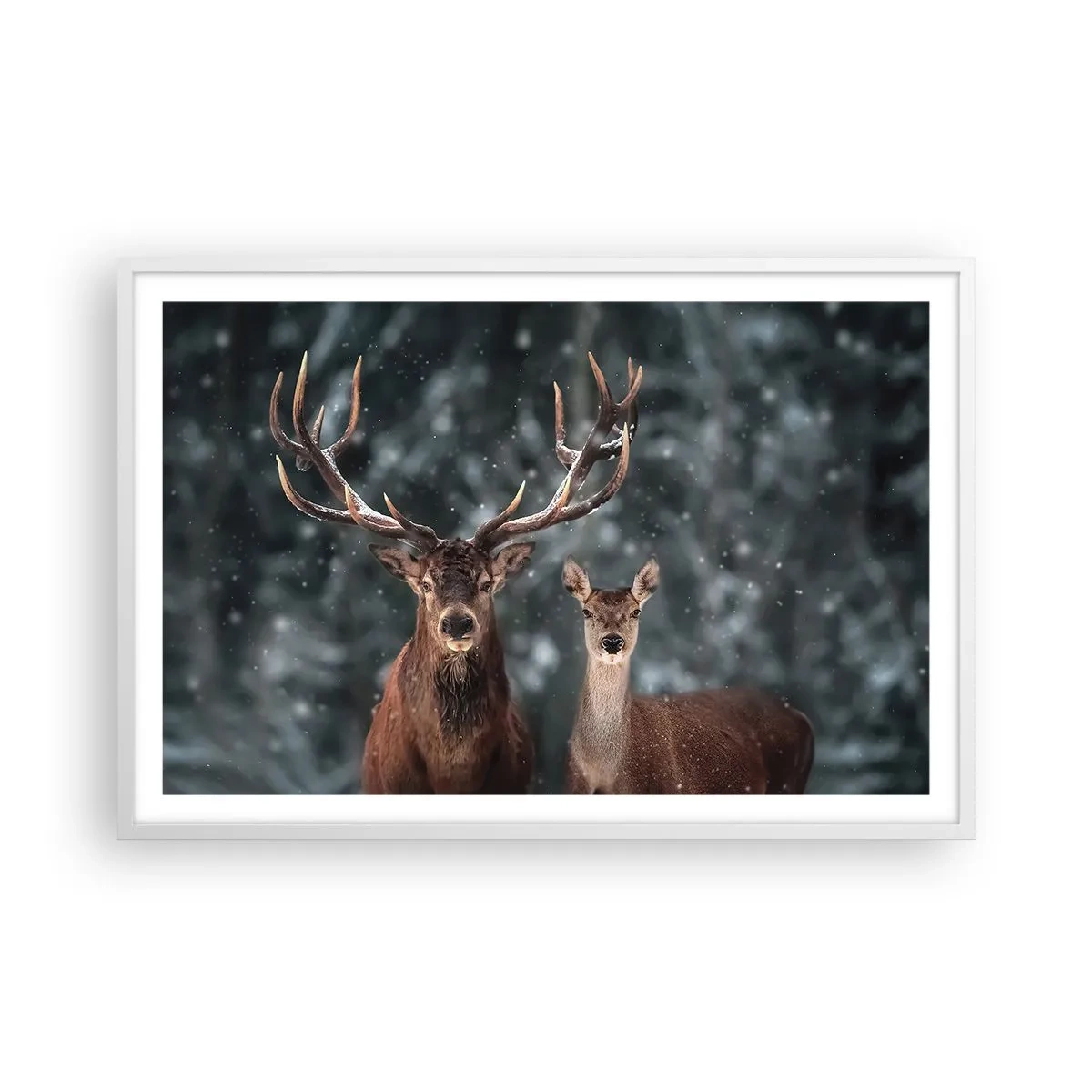 Pôster em moldura branca - O senhor da floresta com sua esposa - 91x61 cm